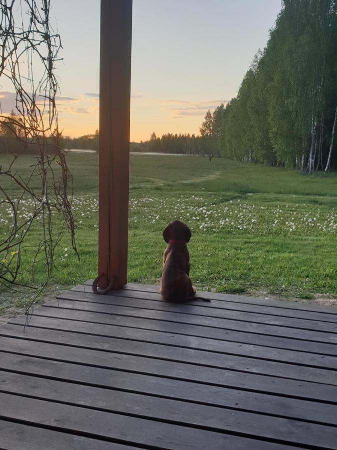 Ciche Podlasie Farm stay *