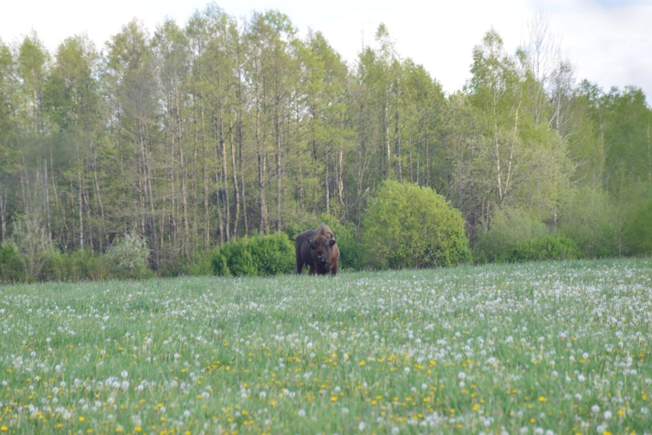 Farm stay Ciche Podlasie Siemianowka