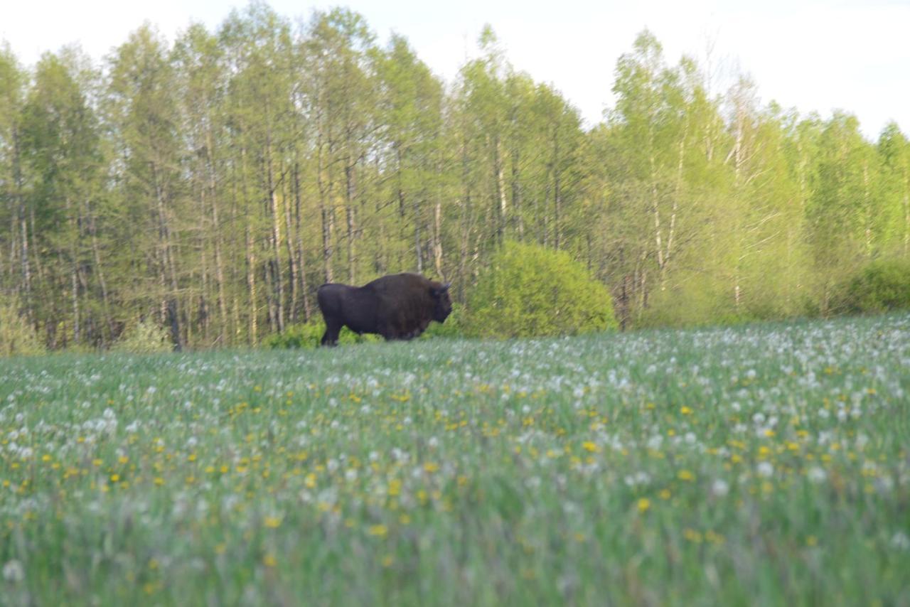 Farm stay Ciche Podlasie
